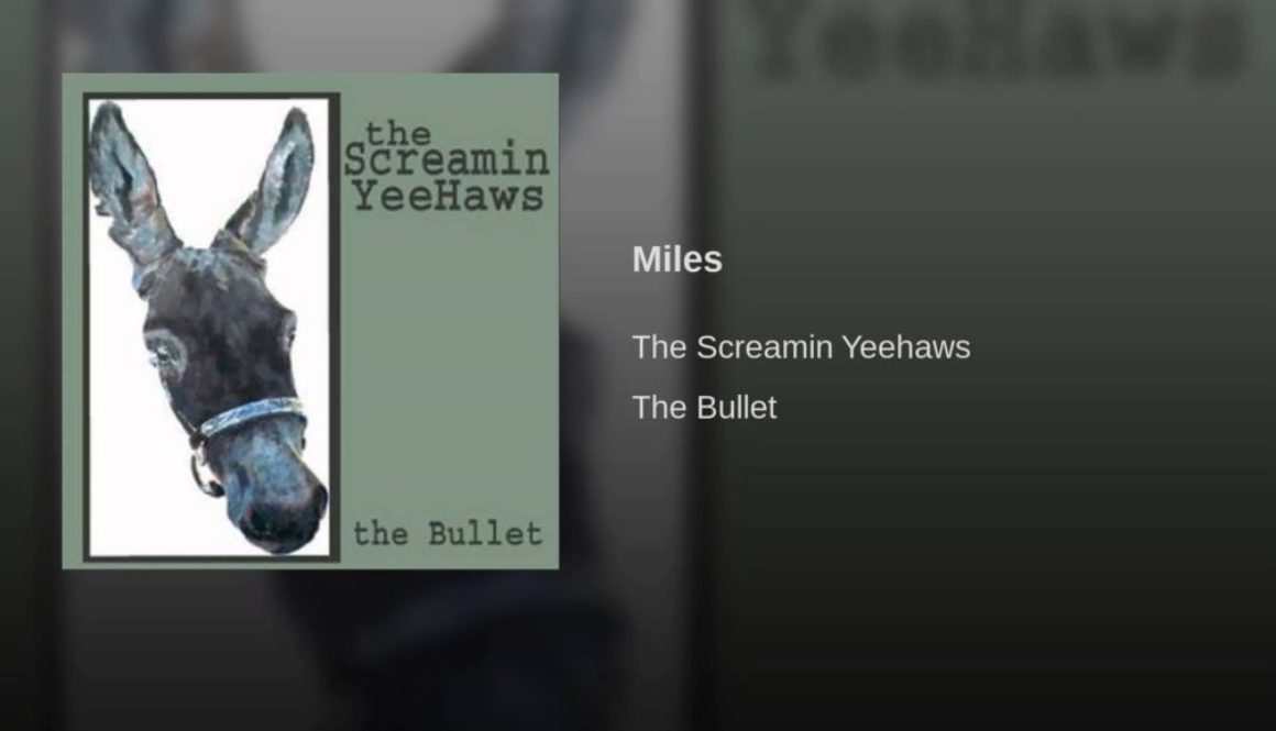 SONG: The Screamin Yeehaws – Miles